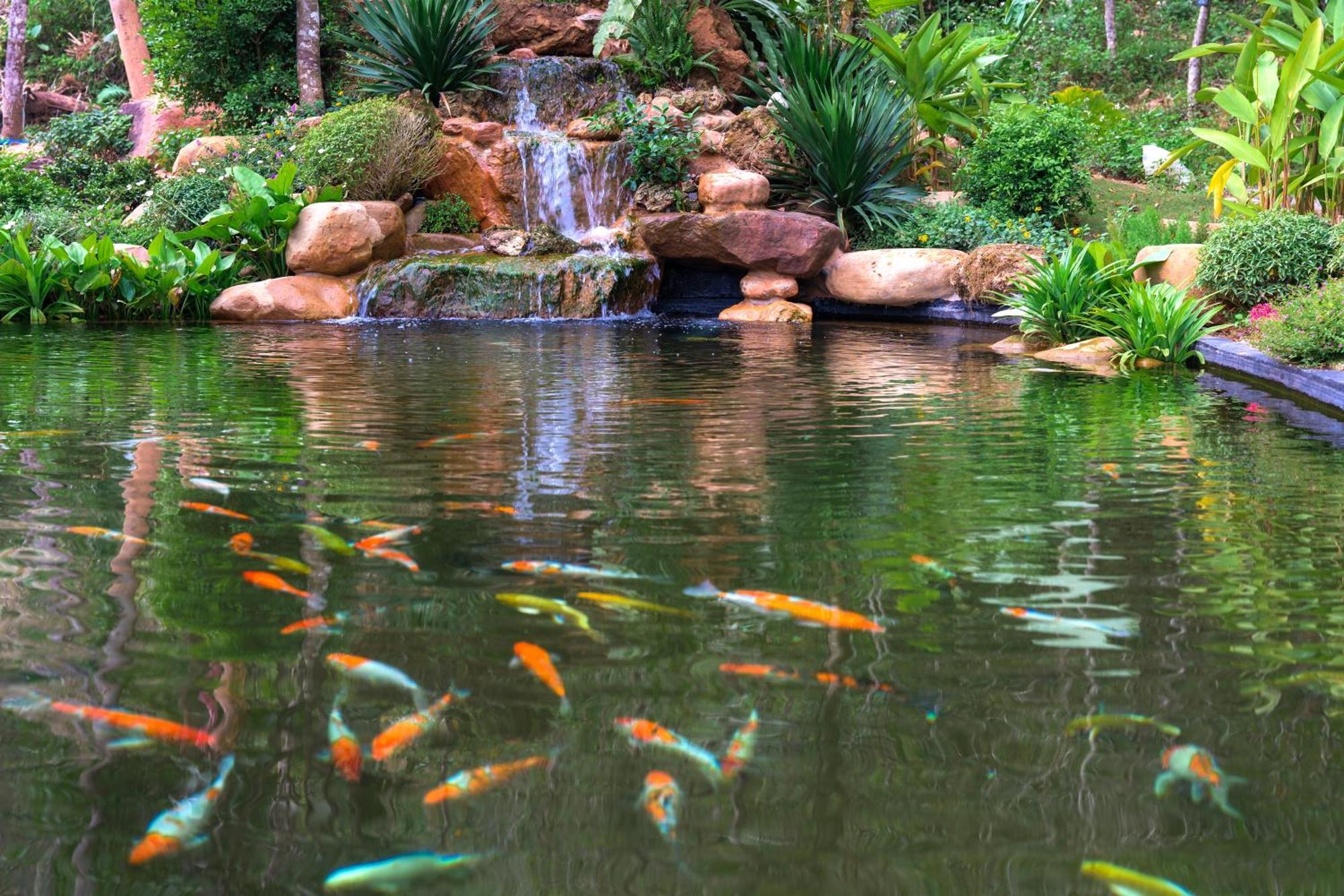 Avana Retreat ไหมโจ๋ว ภายนอก รูปภาพ
